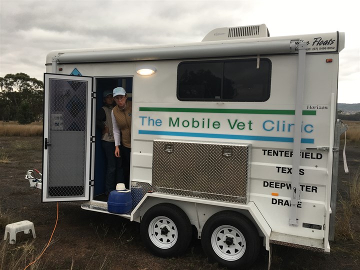 Lewis -Jenny -Designer -Dogs -Vet