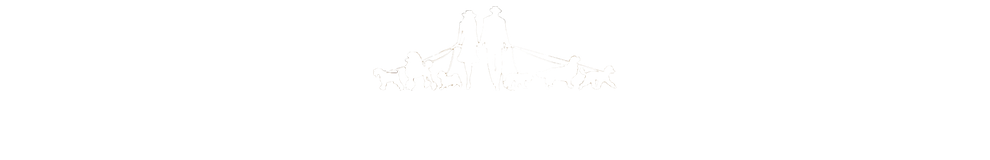 Lewis and Jenny's Designer Dogs